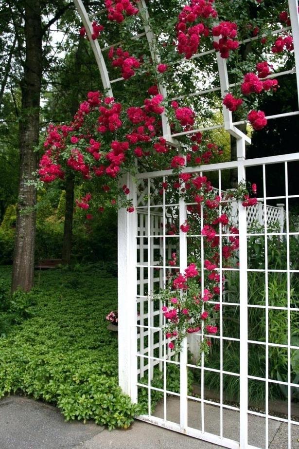 lattice-ideas-for-the-garden-61_5 Решетъчни идеи за градината