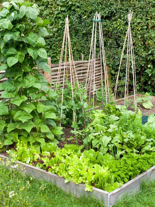 making-a-raised-garden-bed-for-vegetables-36 Създаване на повдигнато градинско легло за зеленчуци