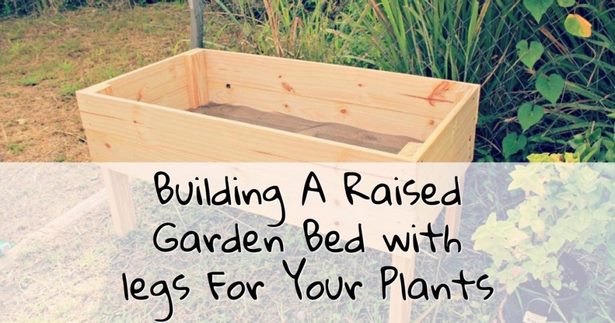 making-a-raised-garden-bed-for-vegetables-36_12 Създаване на повдигнато градинско легло за зеленчуци