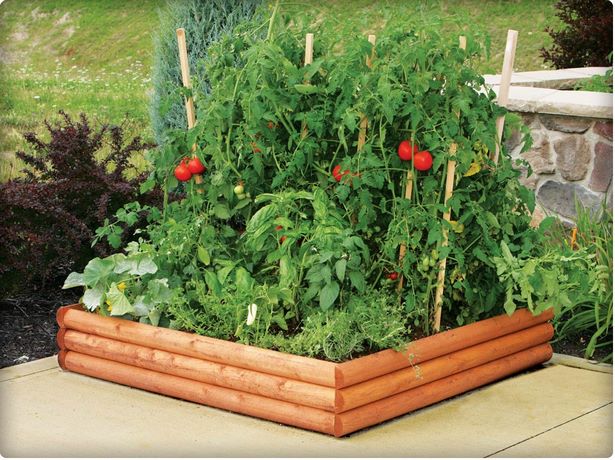 making-a-raised-garden-bed-for-vegetables-36_2 Създаване на повдигнато градинско легло за зеленчуци