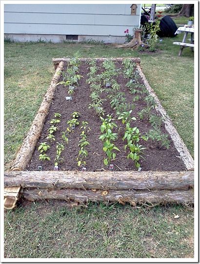 making-a-raised-garden-bed-for-vegetables-36_3 Създаване на повдигнато градинско легло за зеленчуци