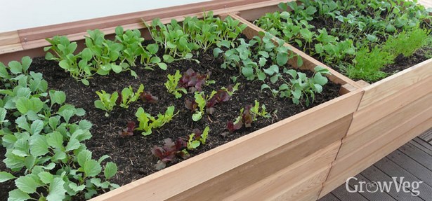 making-a-raised-garden-bed-for-vegetables-36_5 Създаване на повдигнато градинско легло за зеленчуци