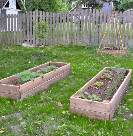 making-a-raised-garden-bed-for-vegetables-36_6 Създаване на повдигнато градинско легло за зеленчуци