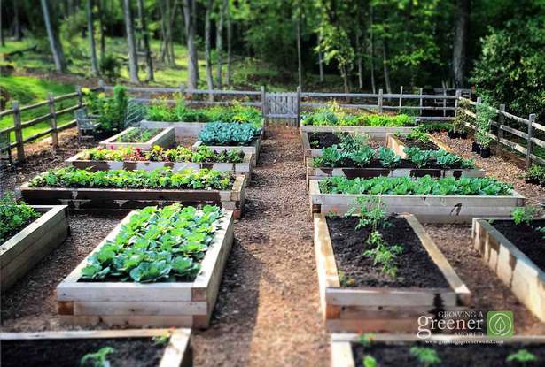 making-a-raised-garden-bed-for-vegetables-36_8 Създаване на повдигнато градинско легло за зеленчуци