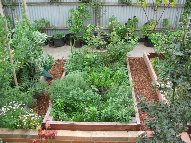 making-a-raised-garden-bed-for-vegetables-36_9 Създаване на повдигнато градинско легло за зеленчуци