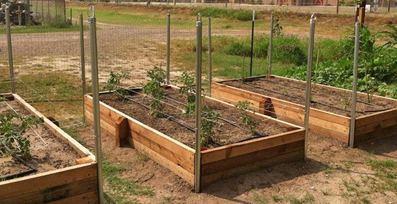 making-elevated-garden-beds-30 Осъществяване повишени градински легла