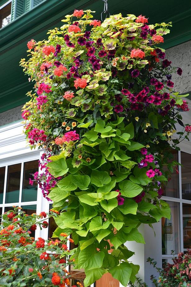 outdoor-flower-basket-ideas-15_15 Открит цвете кошница идеи