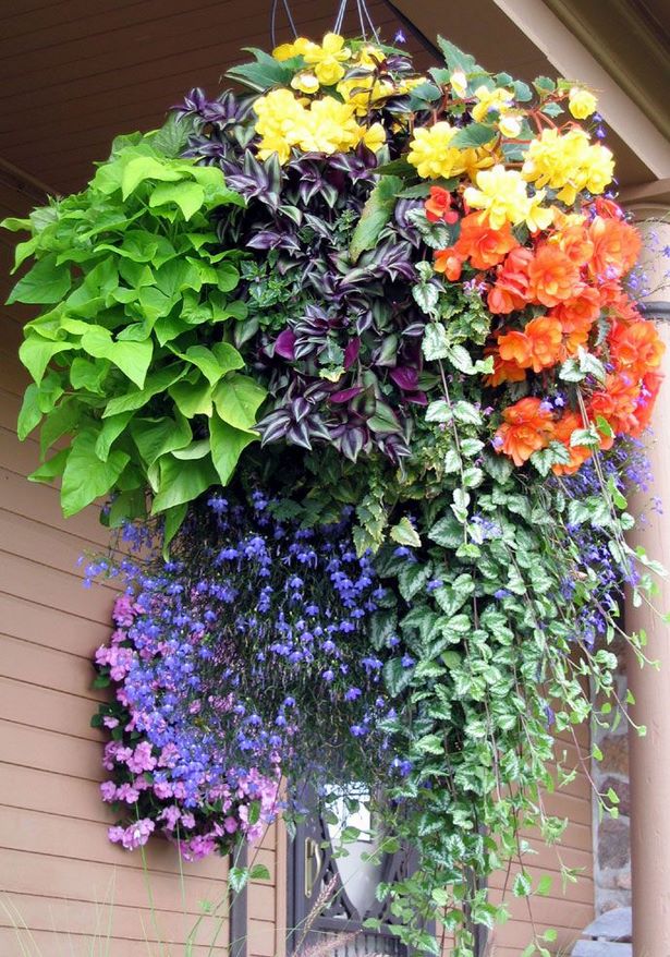 outdoor-flower-basket-ideas-15_16 Открит цвете кошница идеи