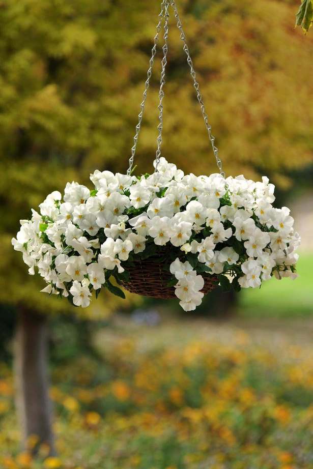 outdoor-flower-basket-ideas-15_2 Открит цвете кошница идеи