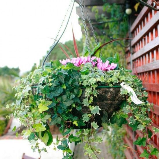 outdoor-flower-basket-ideas-15_5 Открит цвете кошница идеи