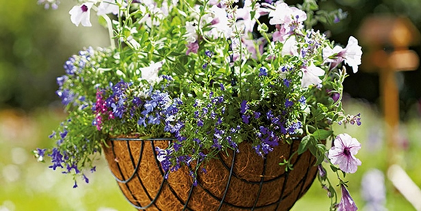 outdoor-flower-basket-ideas-15_8 Открит цвете кошница идеи