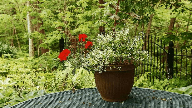 outdoor-flower-container-designs-43 Открит цвете контейнер дизайни