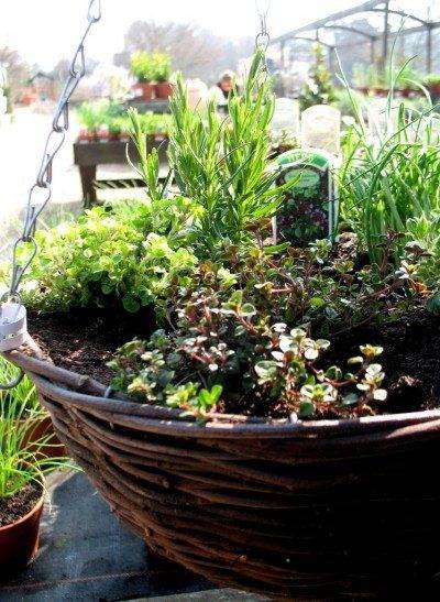 outdoor-garden-pot-ideas-74 Открит градина пот идеи