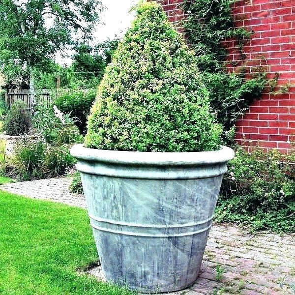 outdoor-garden-pot-ideas-74_14 Открит градина пот идеи