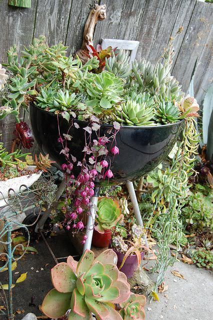 outdoor-garden-pot-ideas-74_16 Открит градина пот идеи