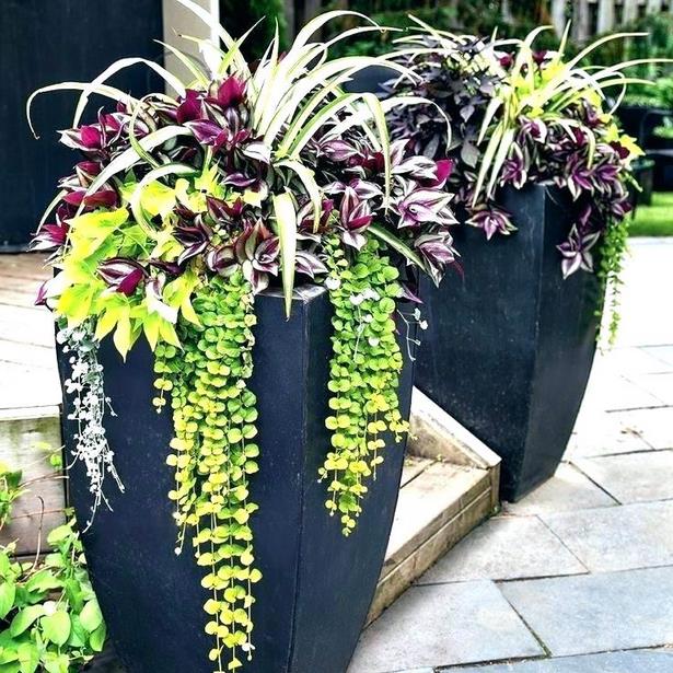outdoor-garden-pot-ideas-74_4 Открит градина пот идеи