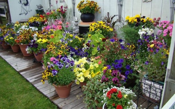 outdoor-garden-pot-ideas-74_6 Открит градина пот идеи