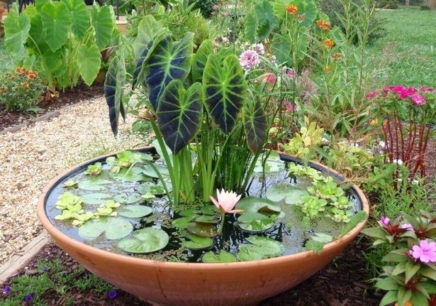 outdoor-garden-pot-ideas-74_8 Открит градина пот идеи