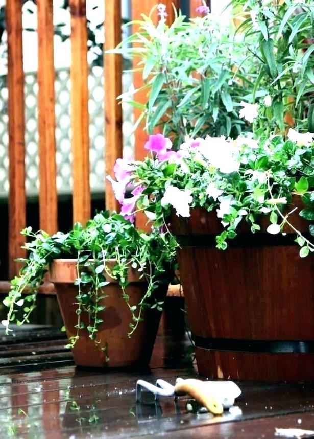 outdoor-plant-containers-77_15 Контейнери за открито растение
