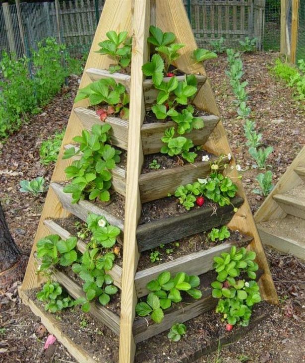 outdoor-raised-garden-ideas-96_3 Открит повдигнати градински идеи
