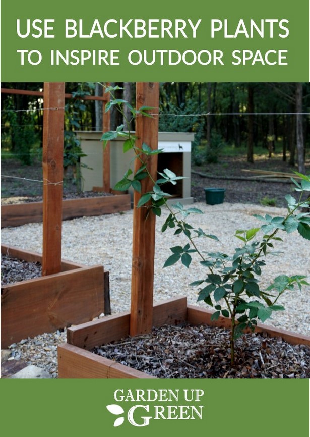 outdoor-raised-garden-72_7 Открит повдигнати градина