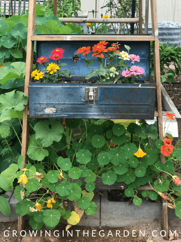 outside-container-gardening-64_2 Външен контейнер градинарство