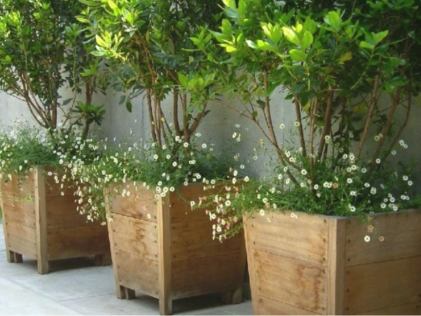 patio-planters-and-pots-ideas-83_9 Вътрешен двор саксии и саксии идеи
