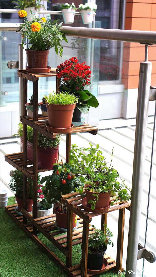 patio-plants-design-ideas-10_8 Патио растения дизайнерски идеи