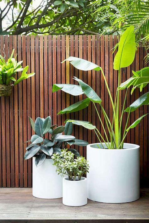 patio-plants-design-ideas-10_9 Патио растения дизайнерски идеи