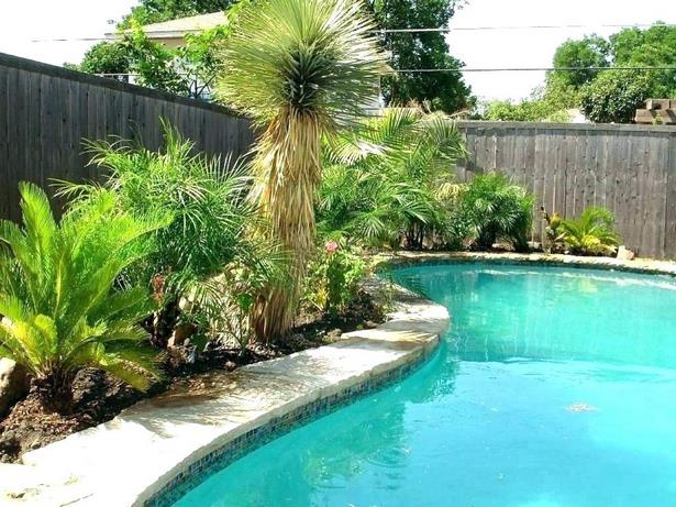 pictures-of-backyard-pool-landscaping-37_6 Снимки на двор басейн озеленяване