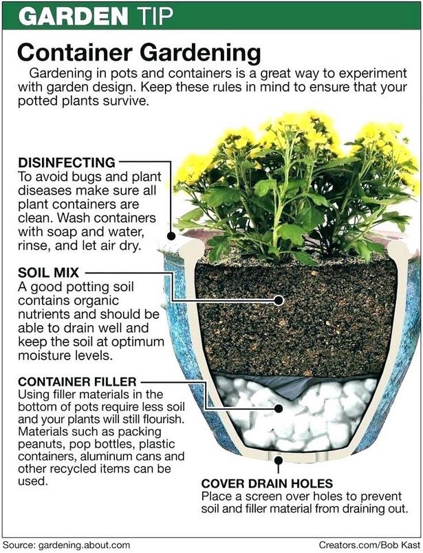 plant-ideas-for-patio-planters-34_11 Растения идеи за вътрешен двор Сеялки