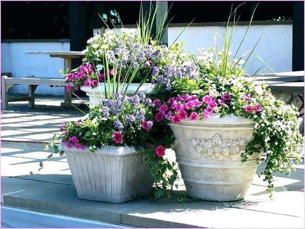 plant-ideas-for-patio-planters-34_14 Растения идеи за вътрешен двор Сеялки