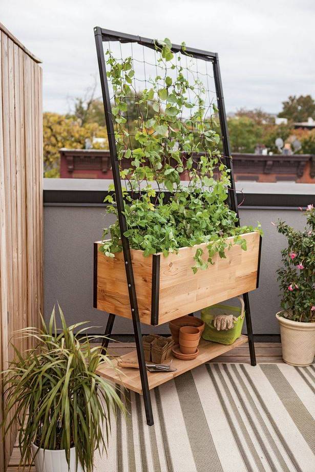 plant-ideas-for-patio-planters-34_3 Растения идеи за вътрешен двор Сеялки