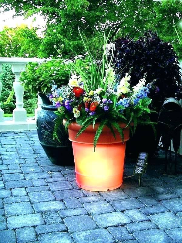 plant-ideas-for-patio-planters-34_4 Растения идеи за вътрешен двор Сеялки