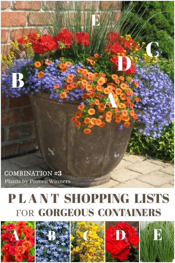 plant-ideas-for-patio-planters-34_9 Растения идеи за вътрешен двор Сеялки