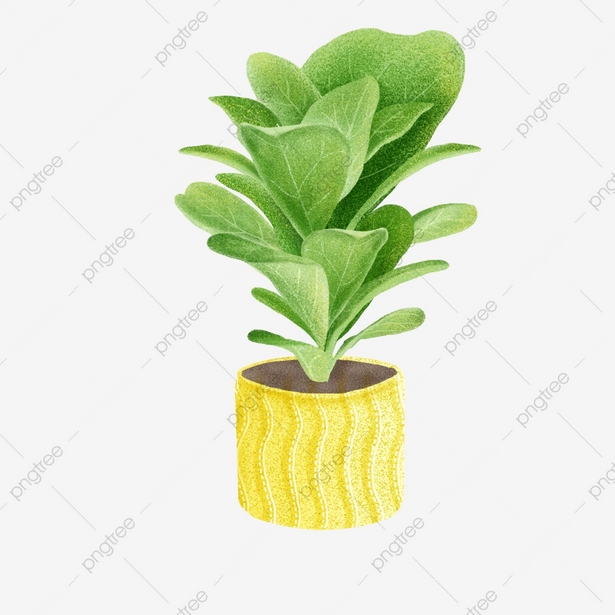plant-pot-design-00_10 Дизайн на саксии