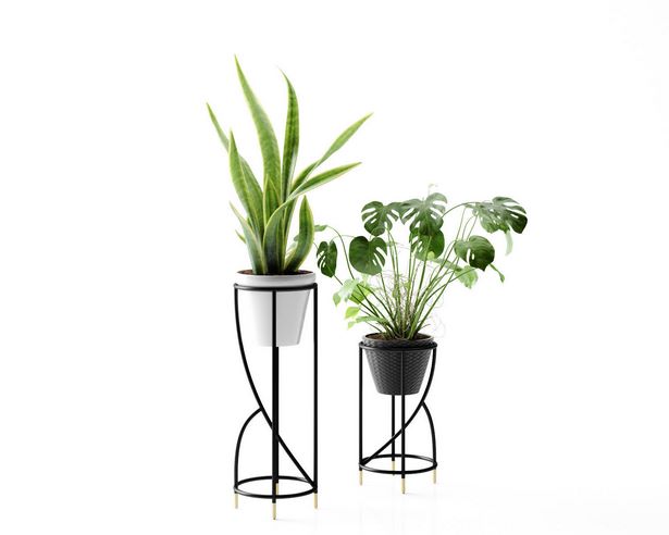 plant-pot-design-00_7 Дизайн на саксии