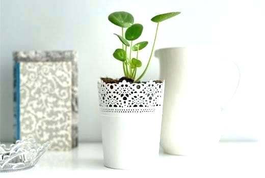 plant-pot-holders-65_17 Саксии за растения