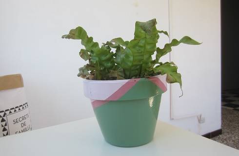 plant-pot-holders-65_9 Саксии за растения