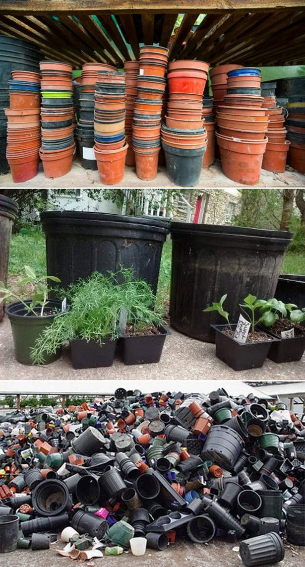 plant-suggestions-for-pots-38_9 Растителни предложения за саксии