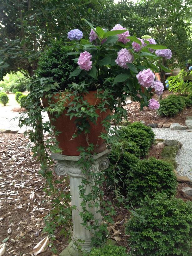 planting-outdoor-flower-pots-ideas-63 Засаждане на открито саксии за цветя Идеи