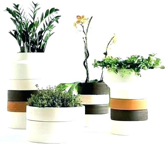 planting-outdoor-flower-pots-ideas-63_17 Засаждане на открито саксии за цветя Идеи