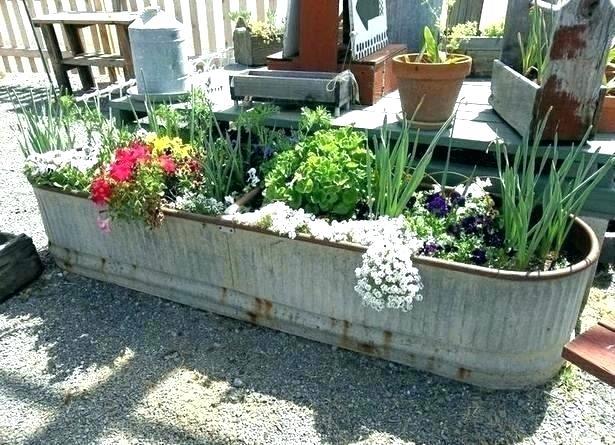 planting-outdoor-flower-pots-ideas-63_7 Засаждане на открито саксии за цветя Идеи