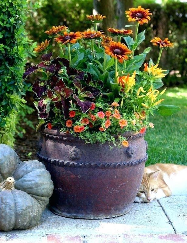 planting-outdoor-flower-pots-ideas-63_9 Засаждане на открито саксии за цветя Идеи