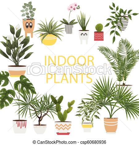 plants-and-pots-38_15 Растения и саксии
