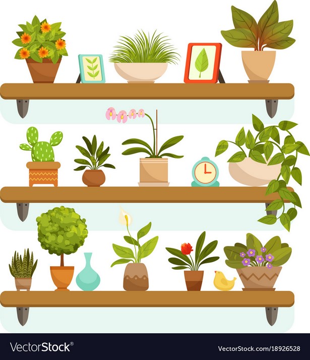 plants-and-pots-38_4 Растения и саксии