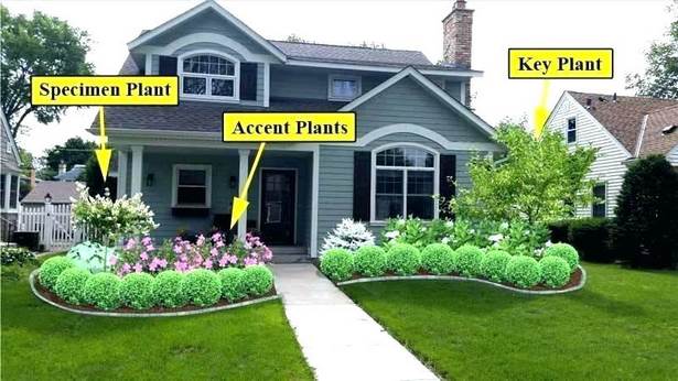 plants-for-the-front-yard-landscape-52_5 Растения за предния двор пейзаж