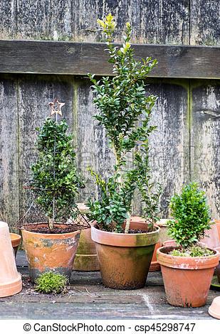 pots-and-plants-65 Саксии и растения