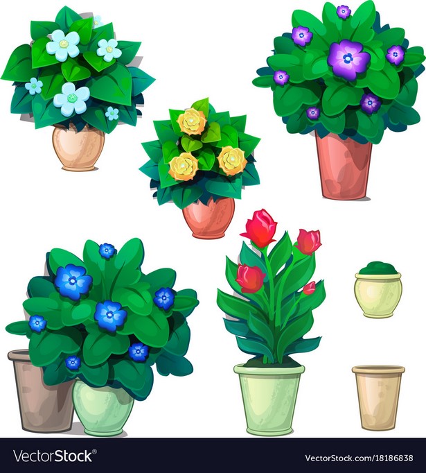 pots-and-plants-65_7 Саксии и растения