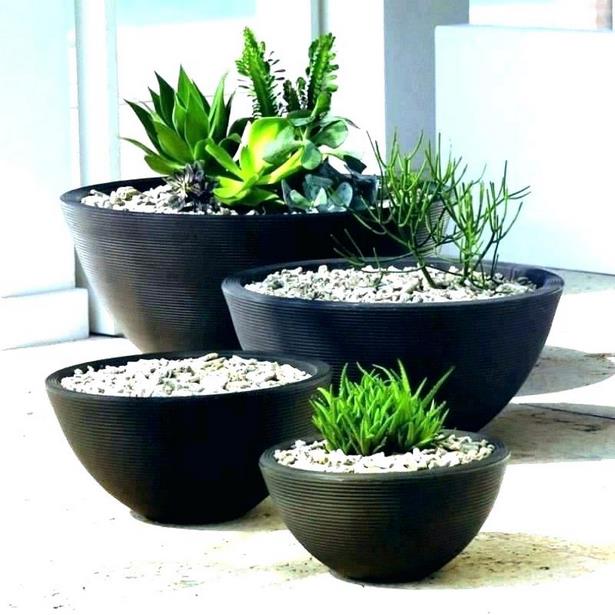 pots-design-plants-50_12 Саксии дизайн растения